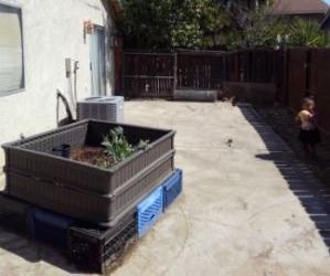 15651 Monica (after)_300